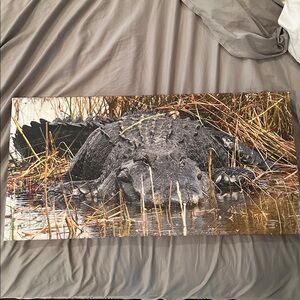 Alligator Canvas Wall Art 12x24